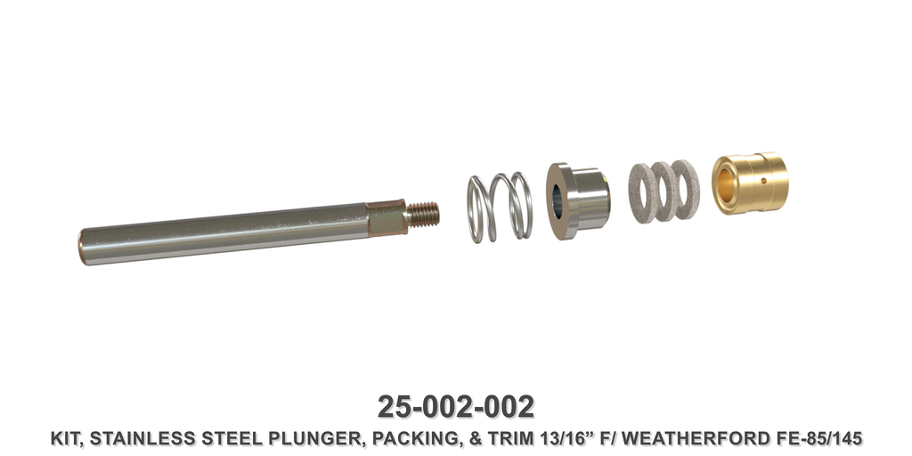 13/16" Stainless Steel Plunger Kit - Weatherford Type